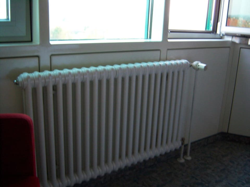 Den Heizkörper musste man sehen Hotel Waldhorn