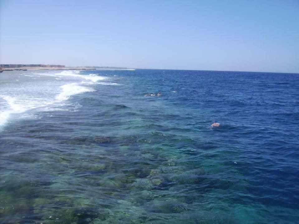 Meer Serenity Alpha Beach