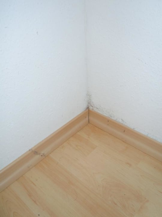 Saubere Ecken 1 Sonnenwald Hotel