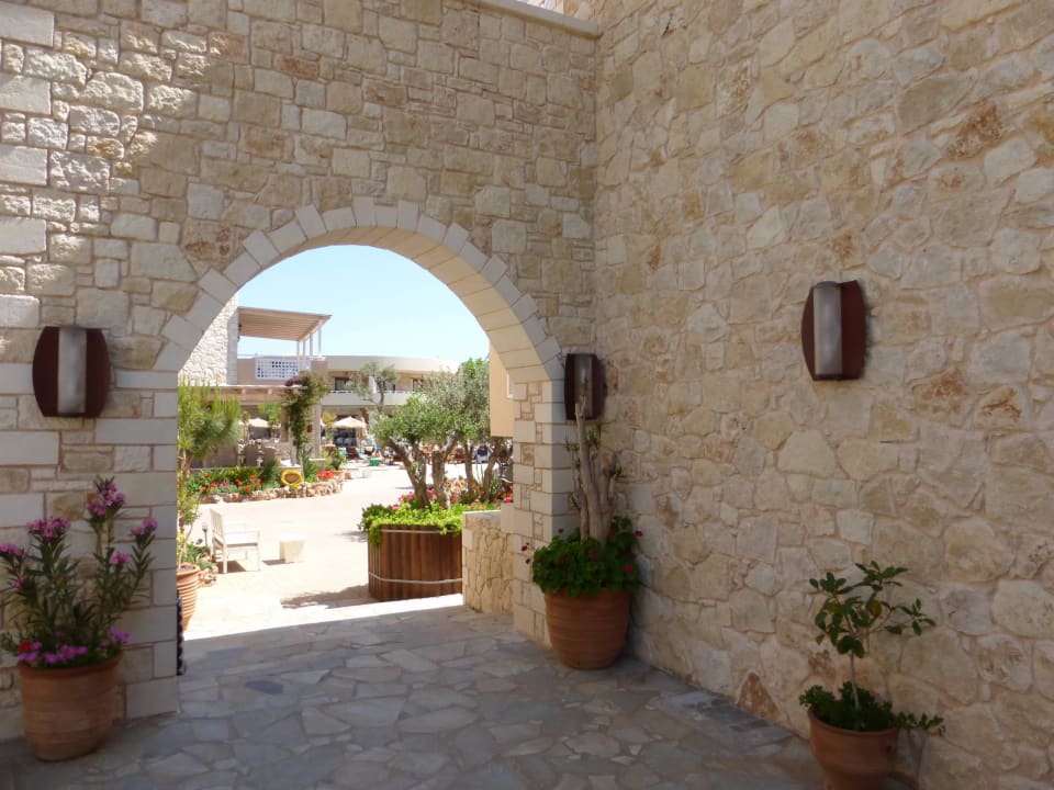 Nie langweilig Cactus Royal