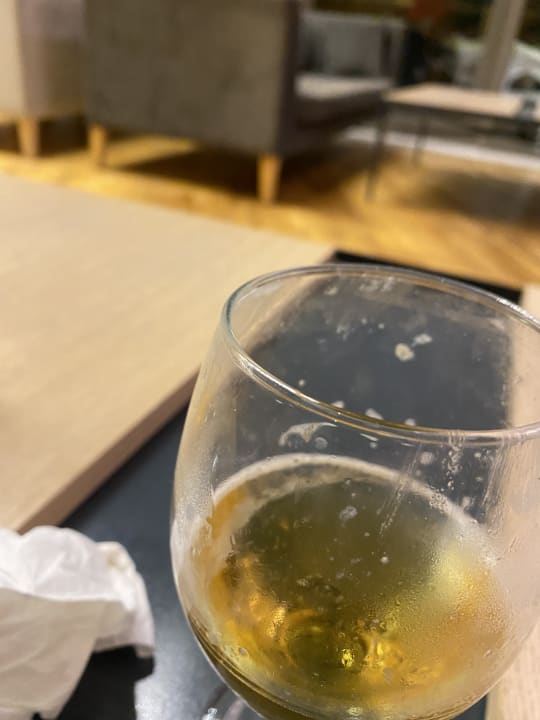 Gastro Seashell Vega