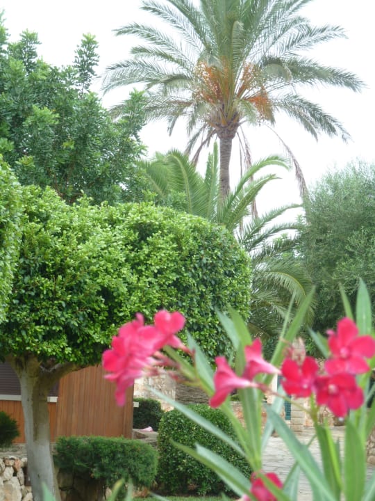 Gartenanlage Hotel Son Trobat Wellness & Spa