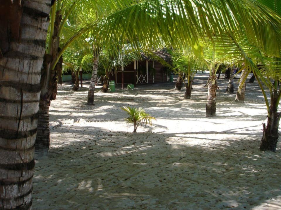 Maimon, RIU Mambo Playabachata Hotel