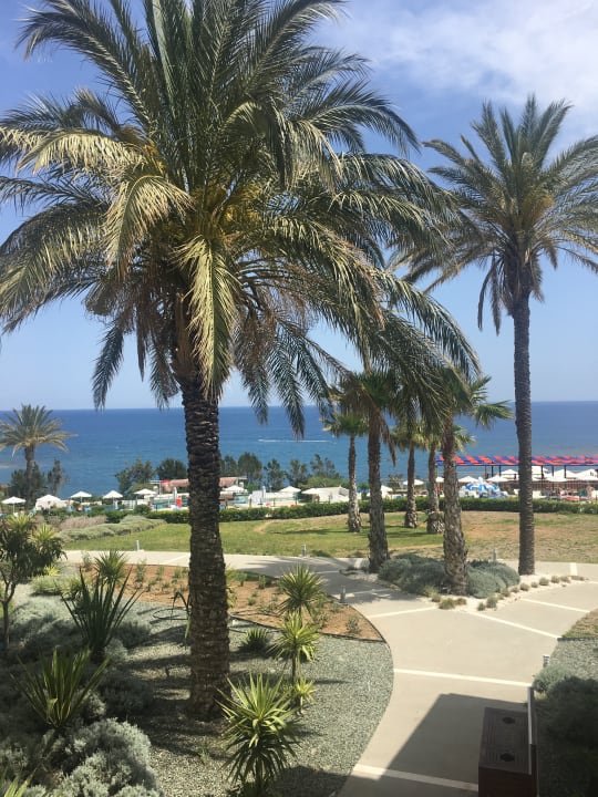 Ausblick Rodos Princess Beach Hotel & Spa