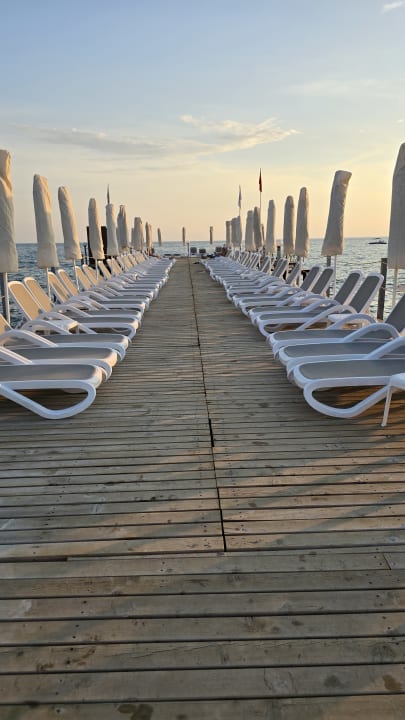 Strand Dizalya Palm Garden