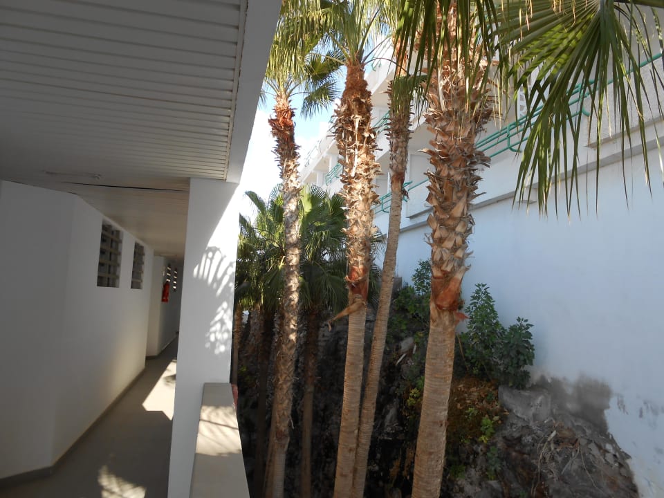 Gang zu den Zimmern/6.Stock Servatur Alameda de Jandía