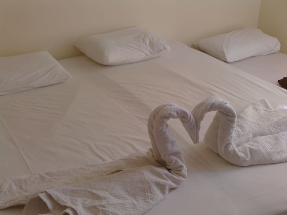 Zimmerdeko Hotel Orfeus Park