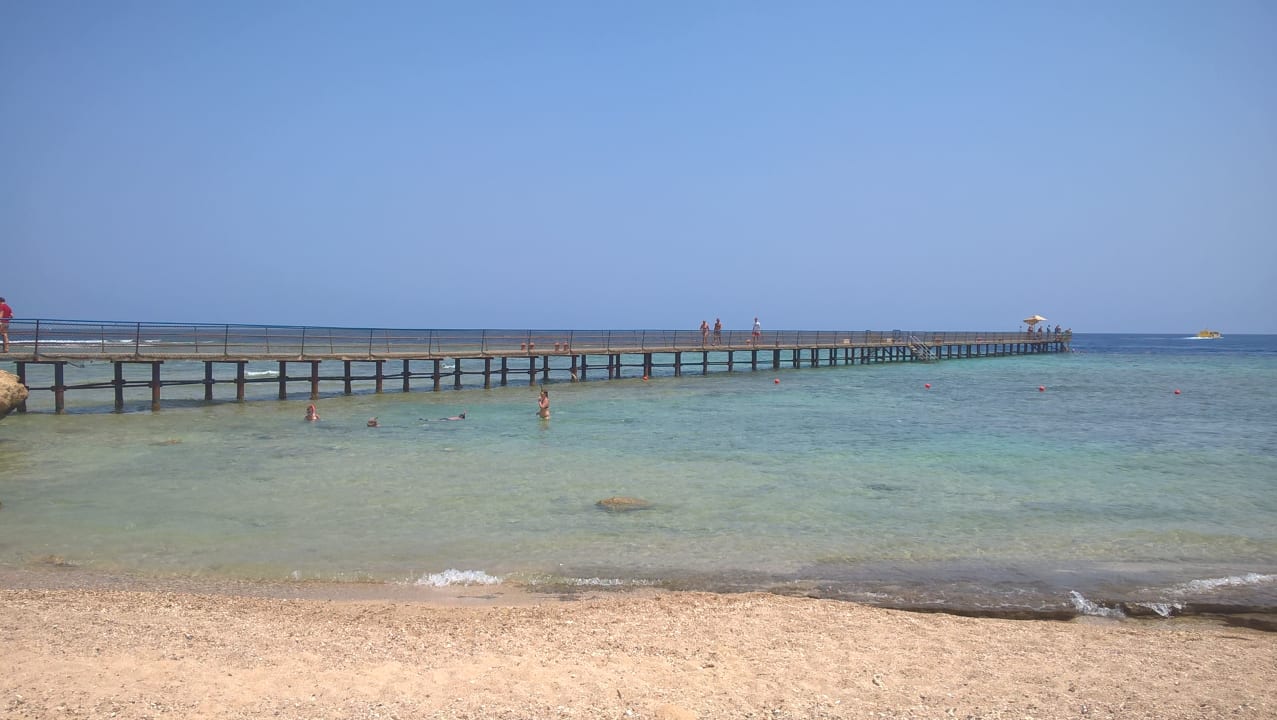 Strand Pickalbatros Palace Hotel-Port Ghalib