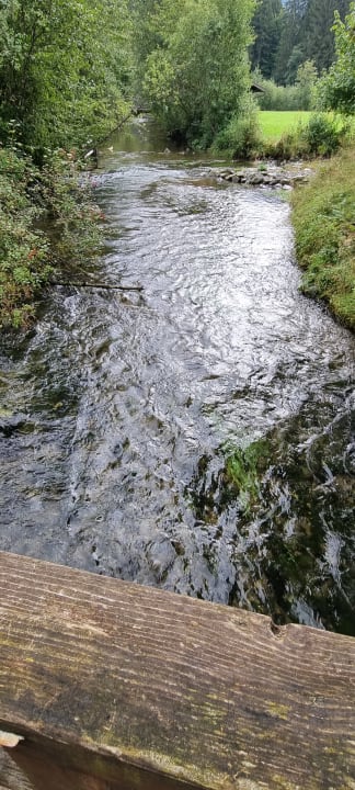 Gartenanlage Parkhotel Burgmühle