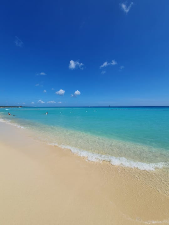 Strand Hotel Viva Dominicus Palace by Wyndham-All Inclusive Resort