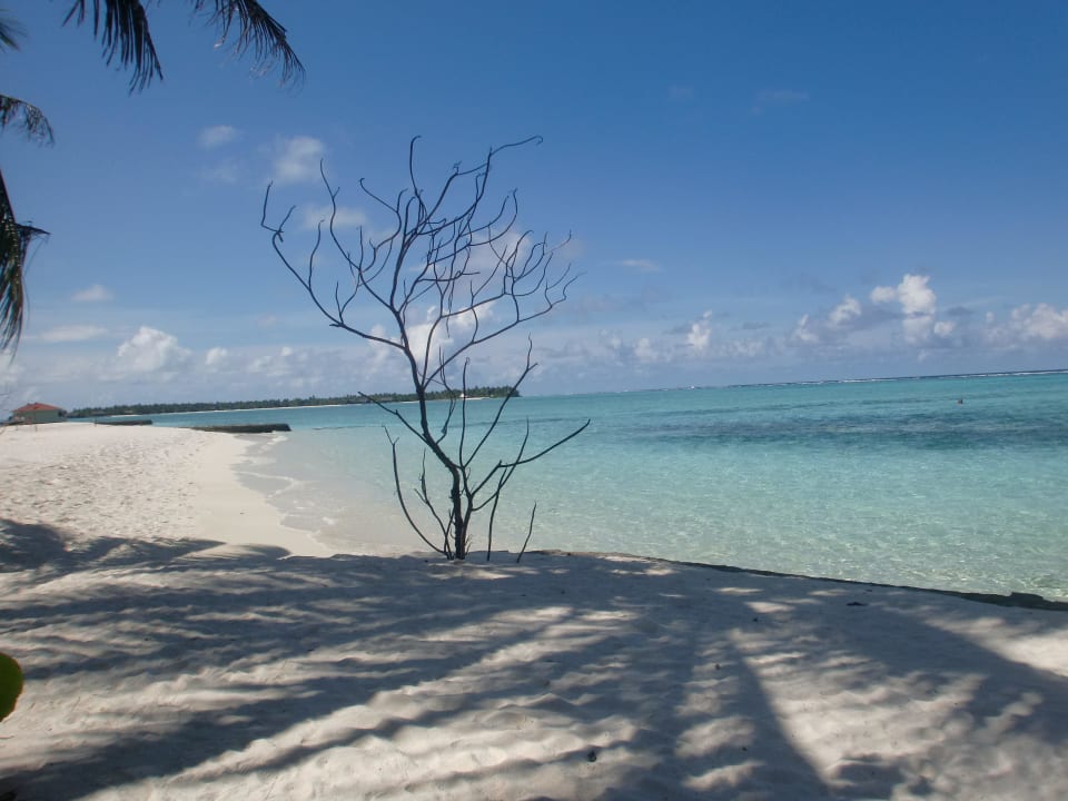 Bei der Bar Summer Island Maldives