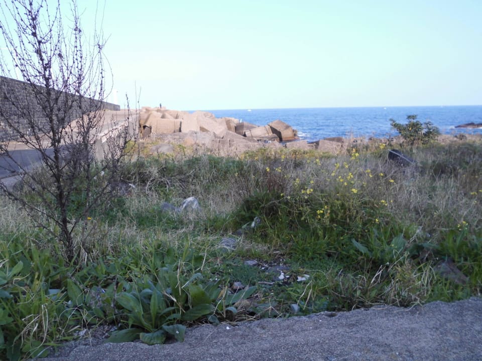 Zum Wasser kommt man nicht Grand Hotel Yachting Palace