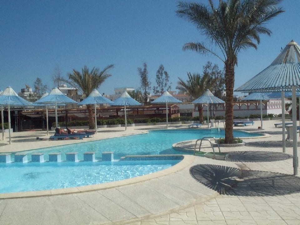 Pool Albatros Sharm Resort