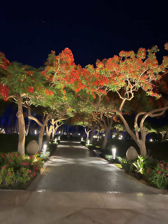 Gartenanlage Steigenberger ALDAU Beach Hotel