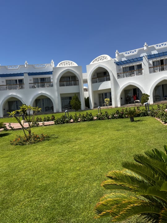 Ausblick Pickalbatros Palace Resort