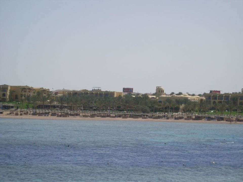 Panorama Steigenberger Coraya Beach - Adults only