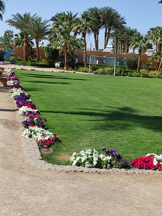 Gartenanlage Giftun Azur Resort