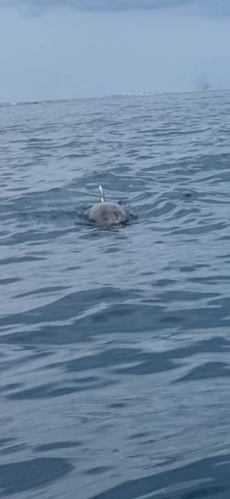 Strand Nour Palace Resort & Thalasso