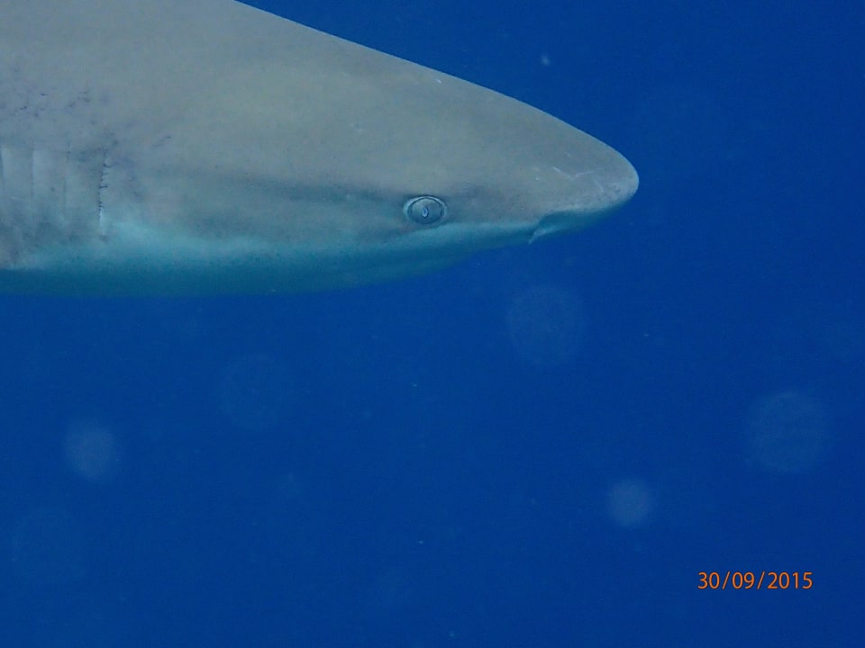 Ziemlich nah ROBINSON MALDIVES