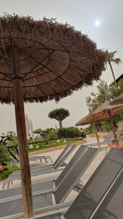 Sport & Freizeit allsun Hotel Eden Playa