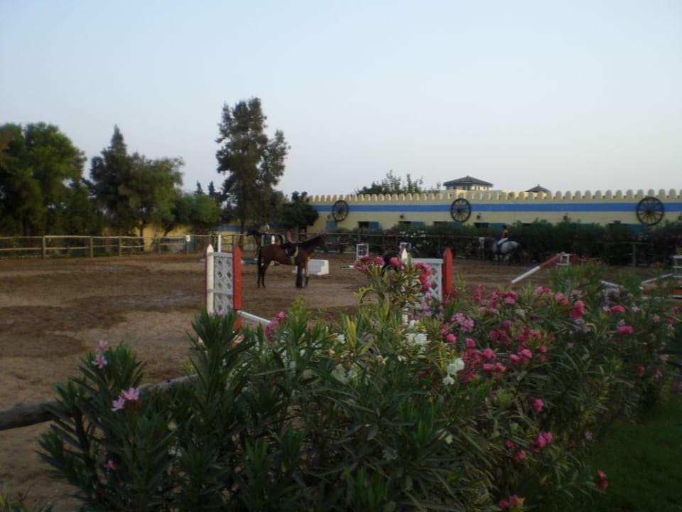 Ranch Samira Club
