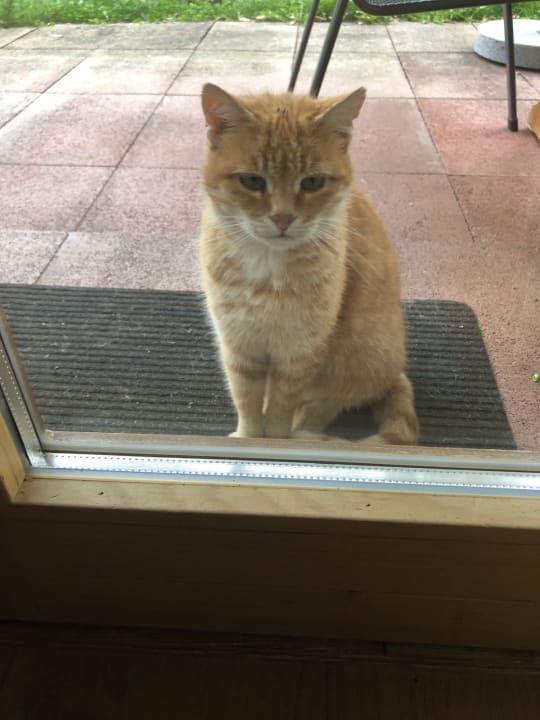 Sonstiges Ferienwohnungen Doblerhof