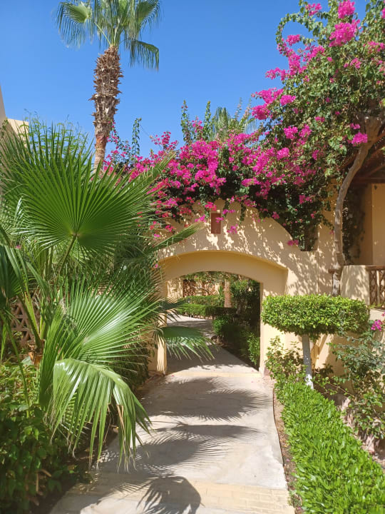 Gartenanlage Steigenberger Coraya Beach - Adults only