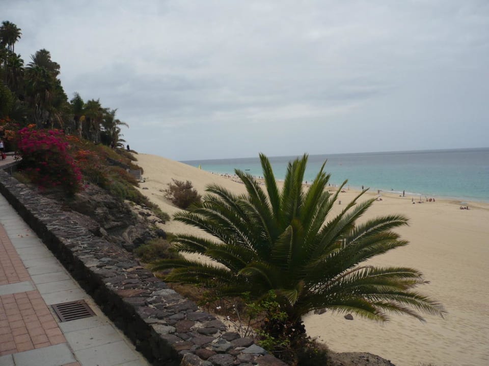 Jandia allsun App.-Hotel Esquinzo Beach