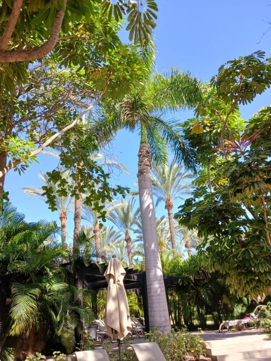 Gartenanlage Lopesan Costa Meloneras, Resort & Spa