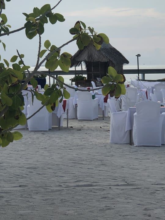 Gastro Cocoon Maldives