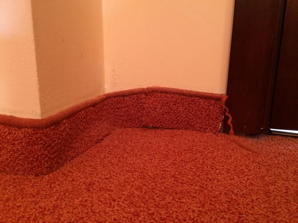 Zimmer 416 GRIFID Aqua Club Bolero