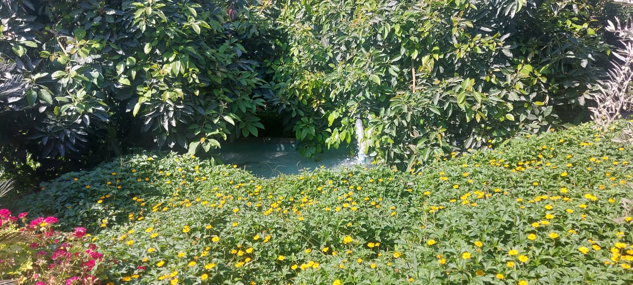 Gartenanlage Can Garden Beach