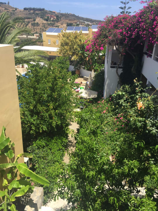 Blick zum Pool Hotel Xidas Garden