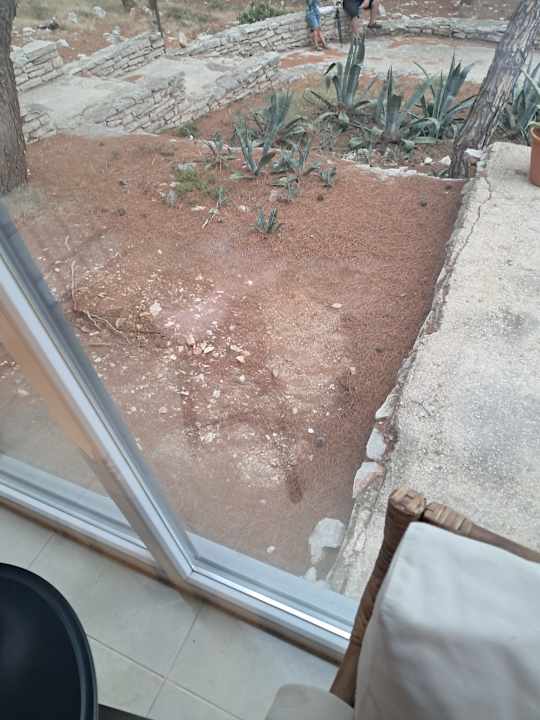 Lobby Obonjan Island Resort