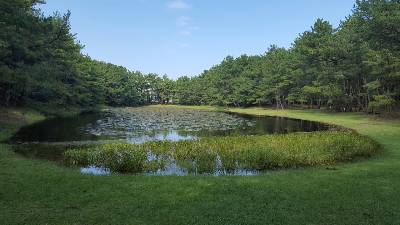Gartenanlage Hotel Sheraton Grande Ocean Resort