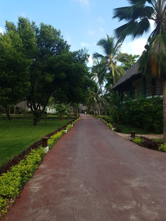 Gartenanlage Hotel Kiwengwa Beach Resort