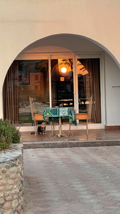 Zimmer Arabia Azur Resort