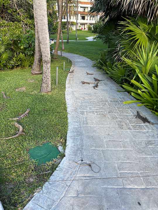 Gartenanlage Bahia Principe Grand Tulum