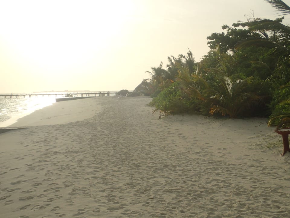 Strand Nordsseite Adaaran Select Meedhupparu Island Resort - Premium All Inclusive
