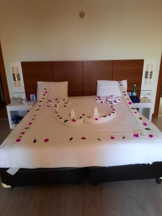 Zimmer Seaden Sea World Resort & Spa