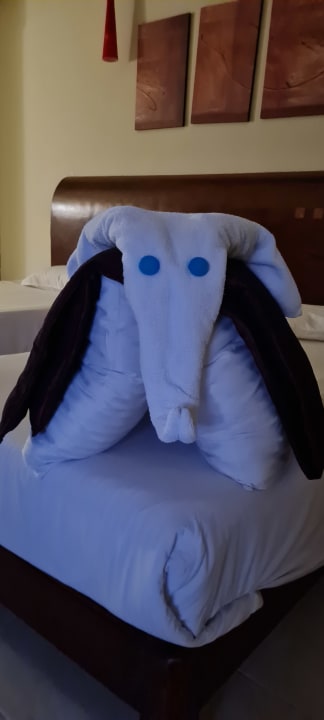 Zimmer Shams Prestige Abu Soma-Adults Only