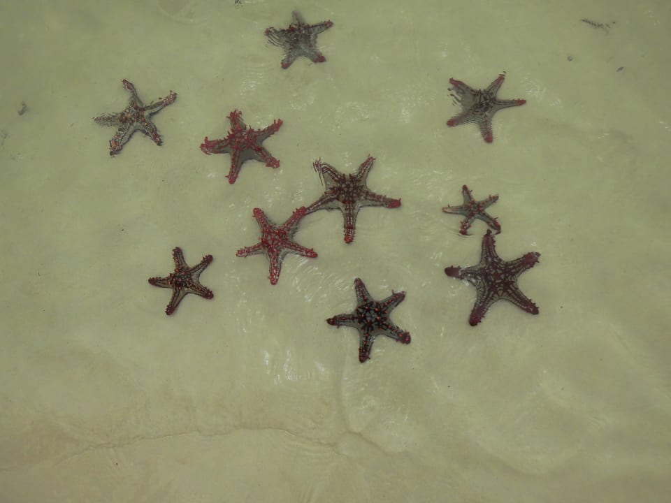 Sonstiges Hotel Papillon Lagoon Reef