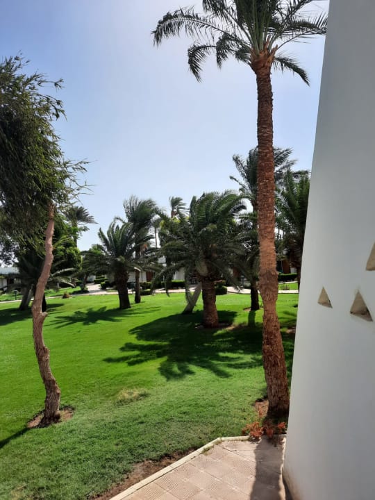 Gartenanlage Shams Safaga Resort