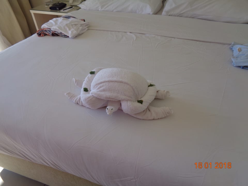 Handtuchkunst Jaz Aquaviva