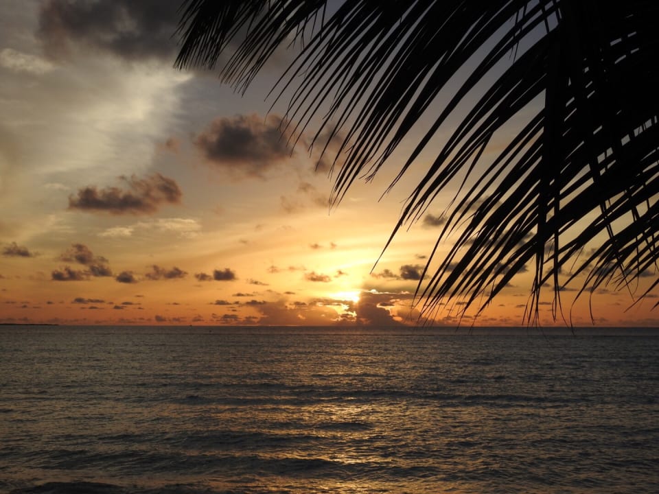 Gastro NH Collection Maldives Havodda Resort