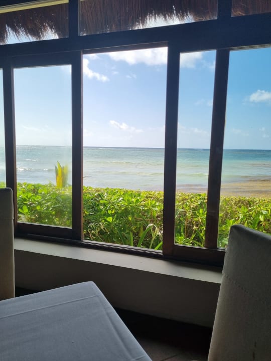 Ausblick Akumal Bay Beach & Wellness Resort