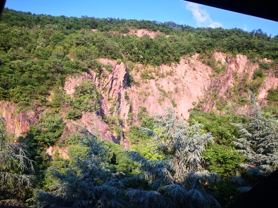 Ausblick Business Resort Parkhotel Werth