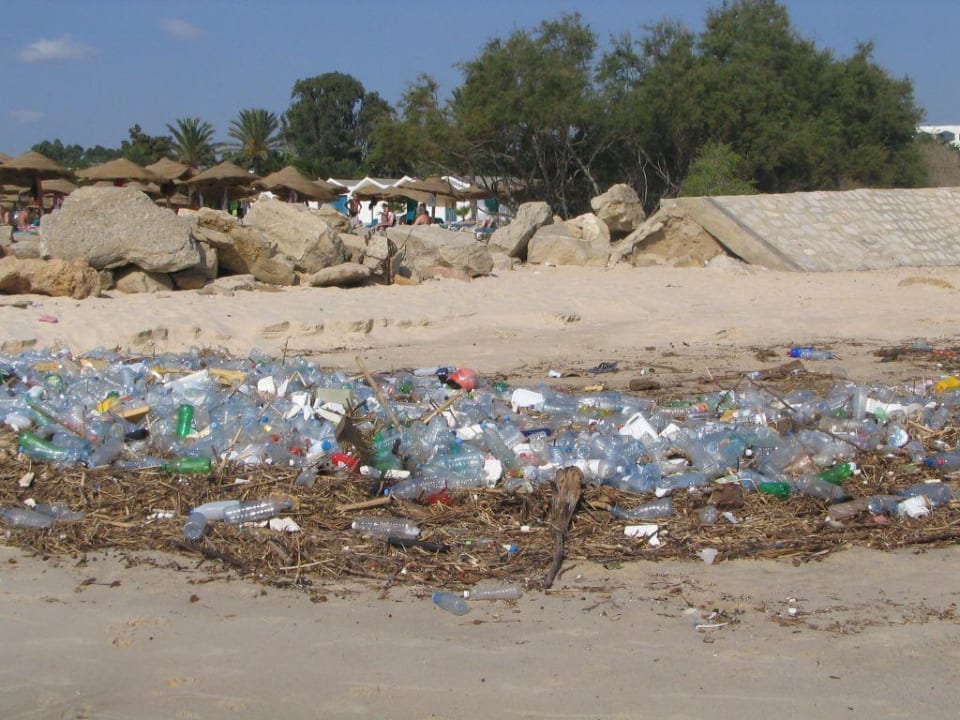 am Strand direkt am Les Orangers The Orangers Beach Resort and Bungalows