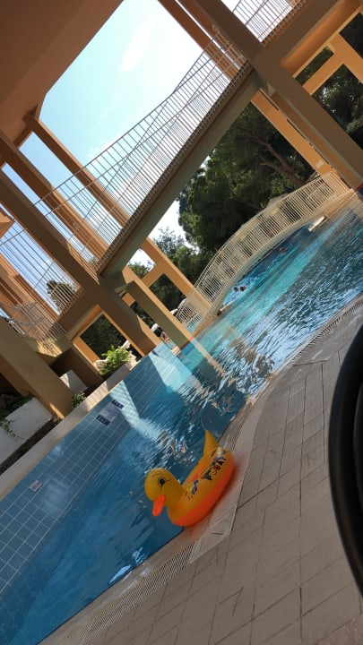 Pool Asteria Collection Side