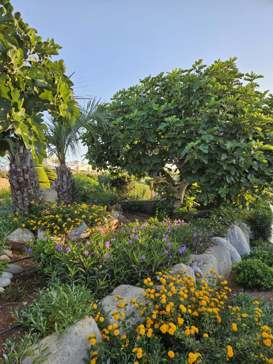 Gartenanlage Atrium Prestige Thalasso Spa Resort & Villas